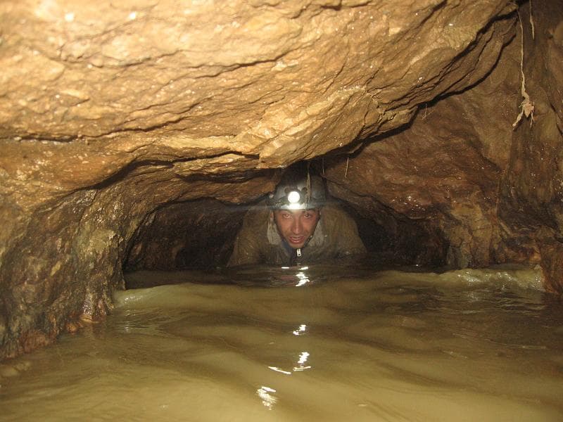 Chinta Olimpiu Dragos