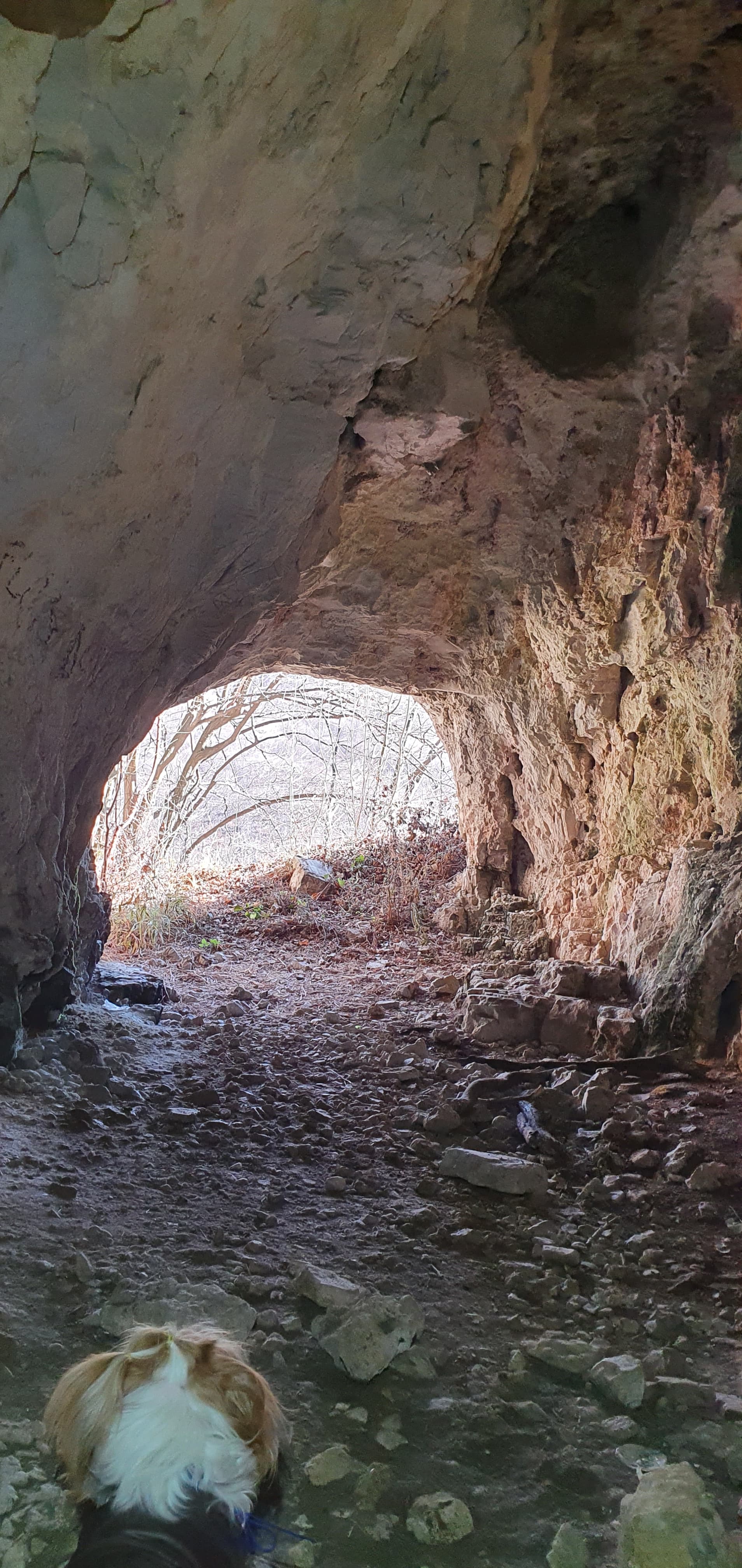 Peștera Nr. 2 din Cheile Oltețului - Image 2