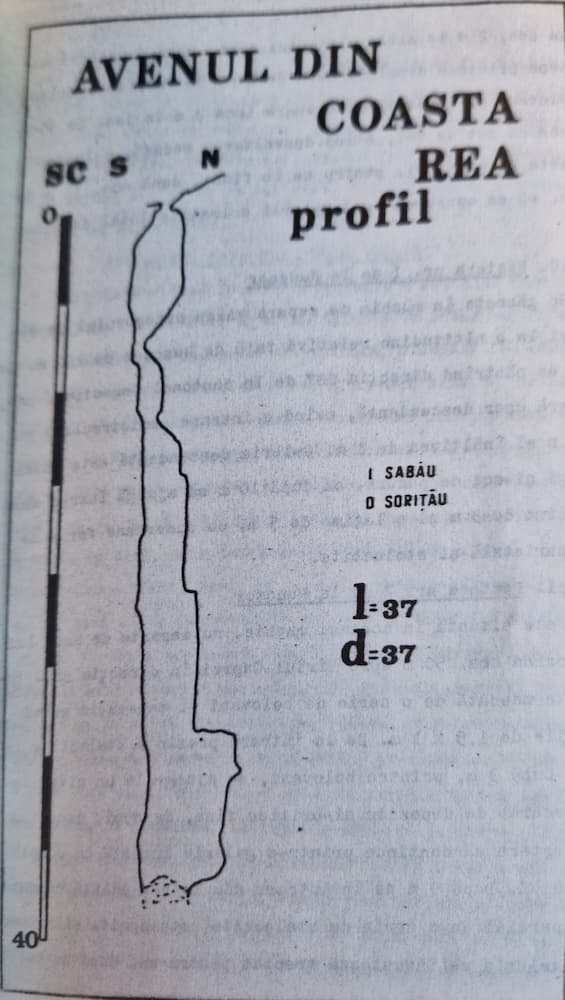 Avenul din Coasta Rea - Image 1