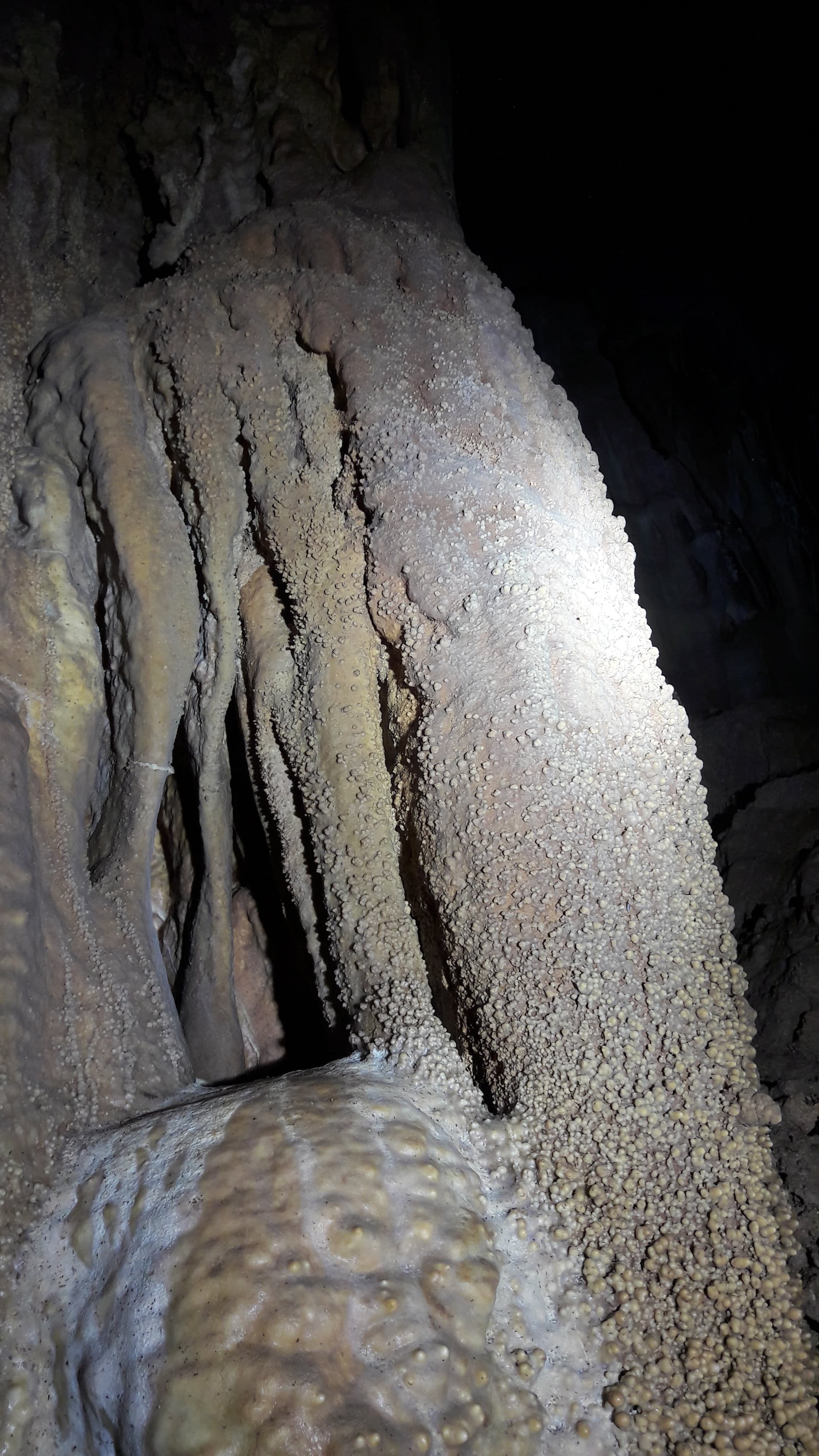 Pestera Comorilor - Image 3