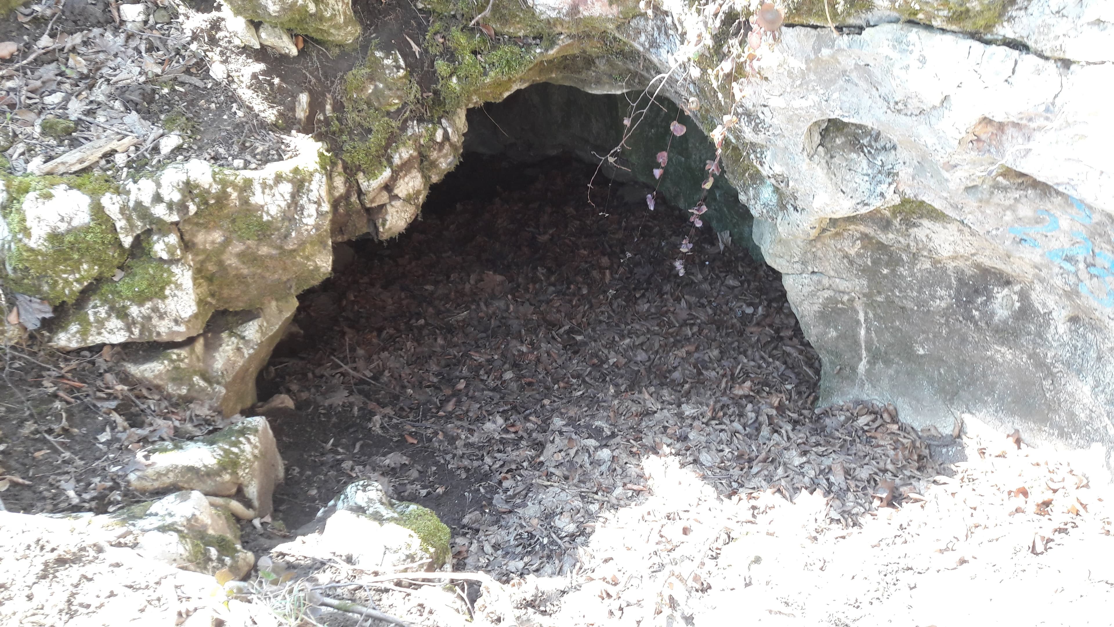 Pestera Comorilor - Image 1