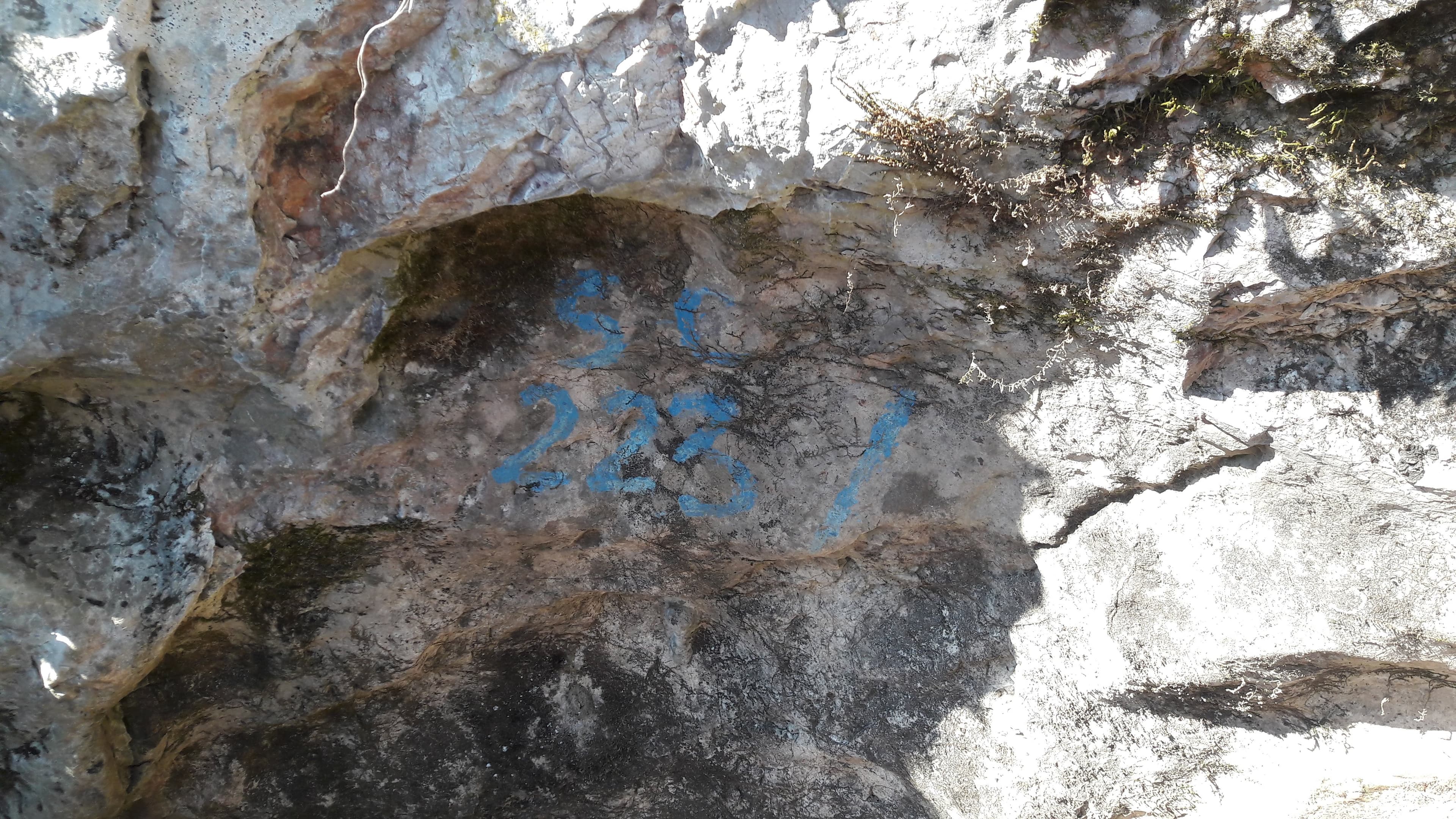 Pestera Comorilor - Image 2