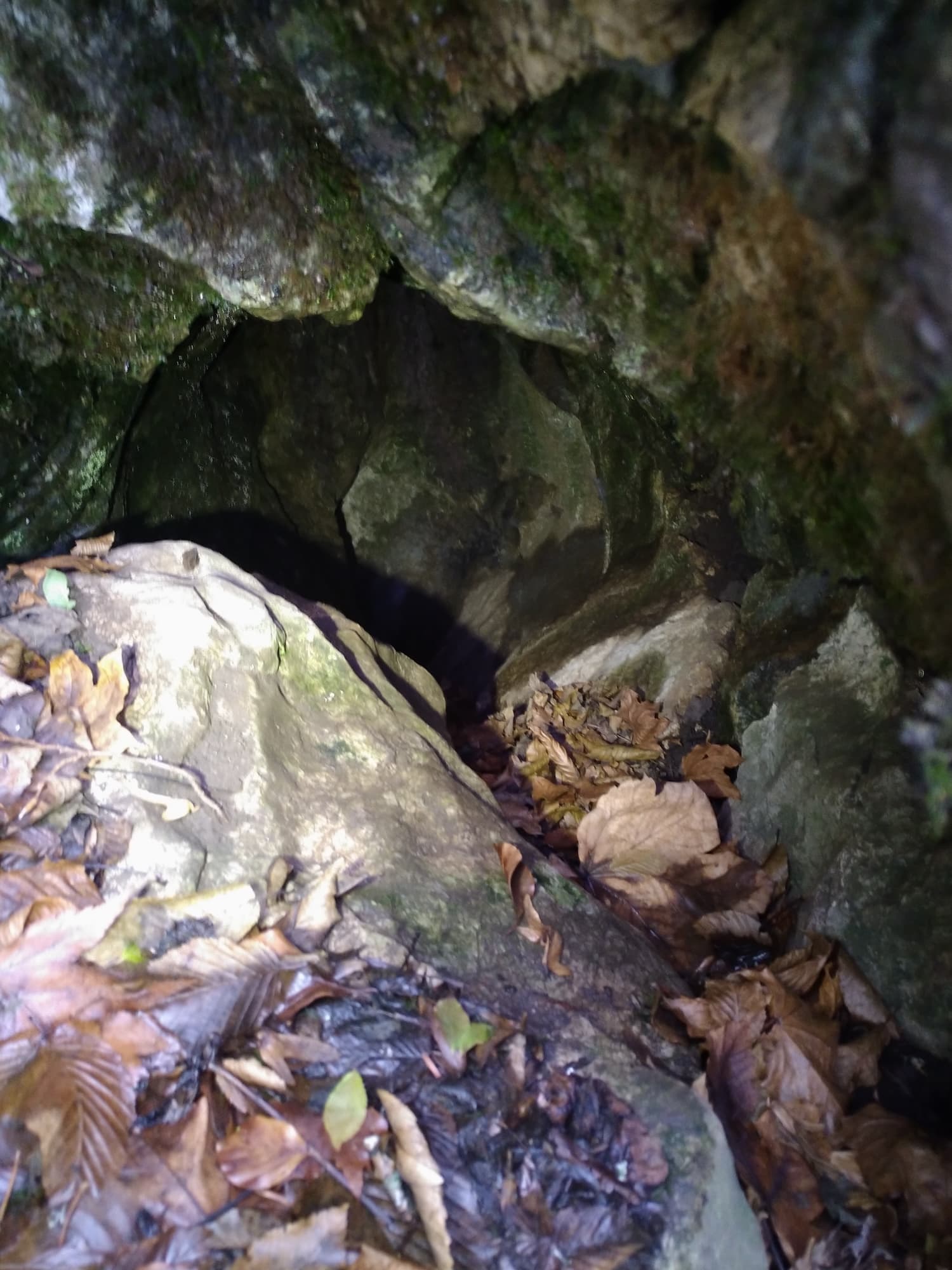 Peştera de lângă Steierdorf - Image 1