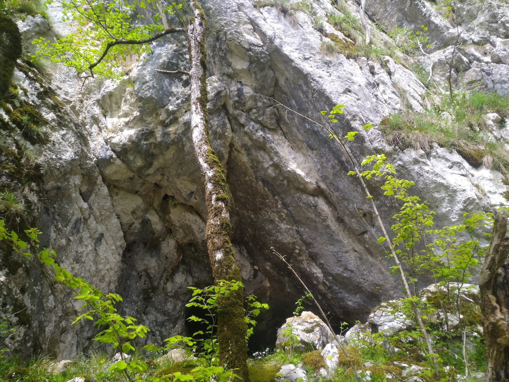 Peştera Bătrână - Image 1