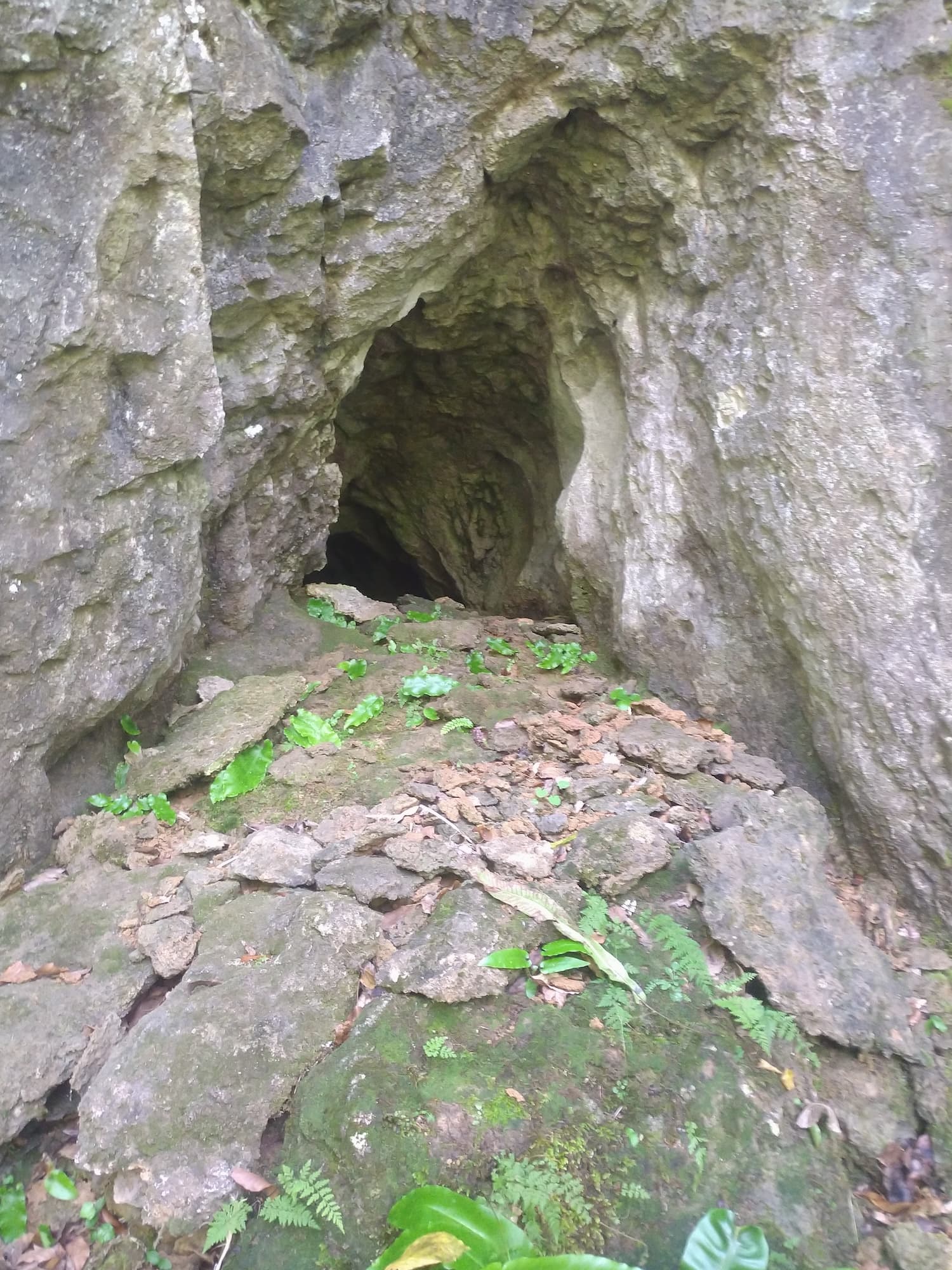 Pestera Izbuc - Image 1