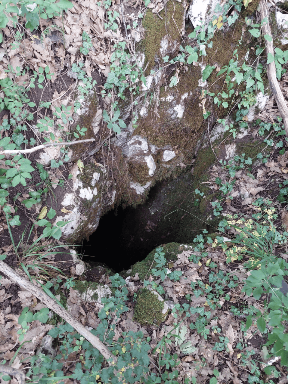 Avenul Frumos - Intrare - foto: Ghita Iancu