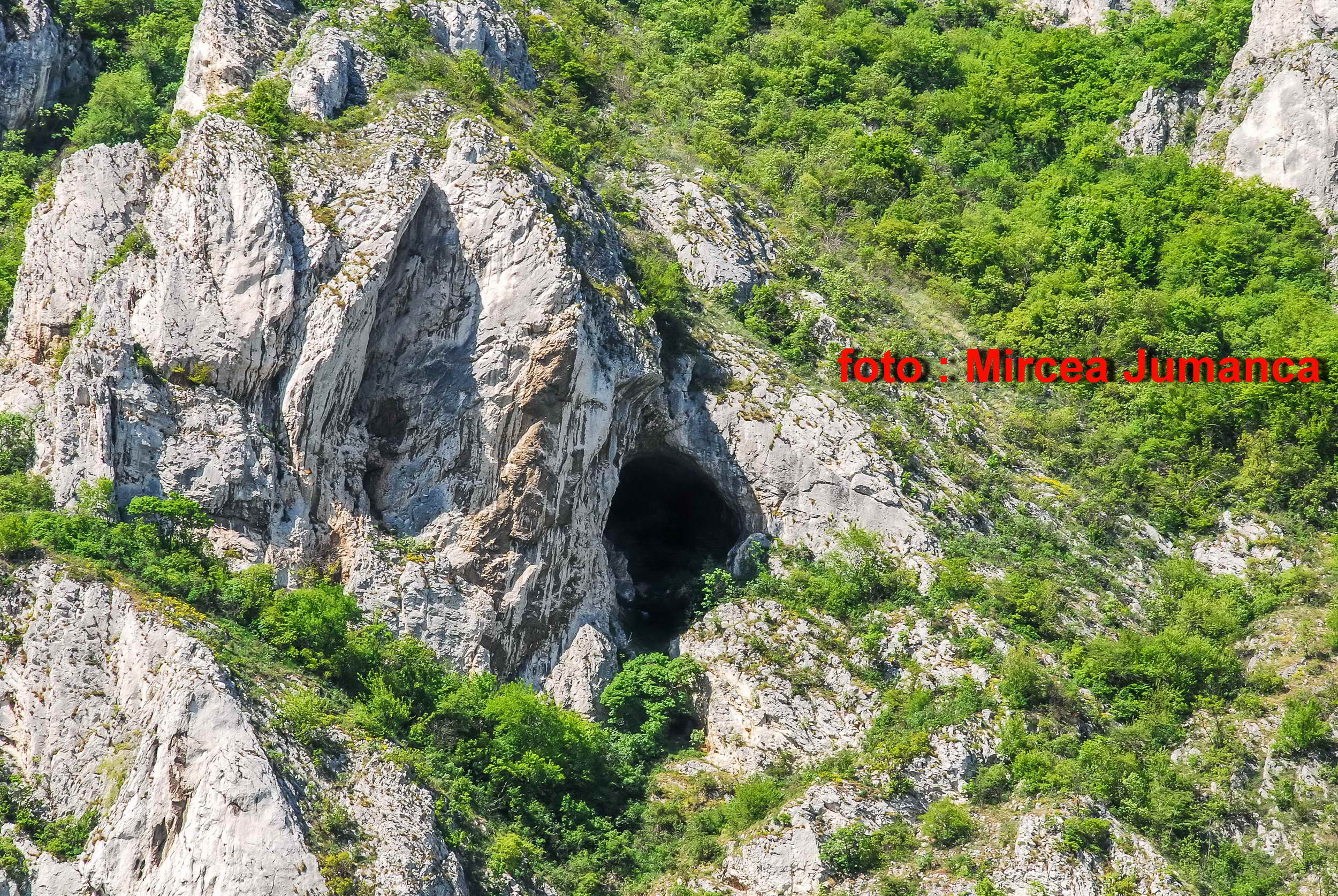 foto : Mircea Jumanca