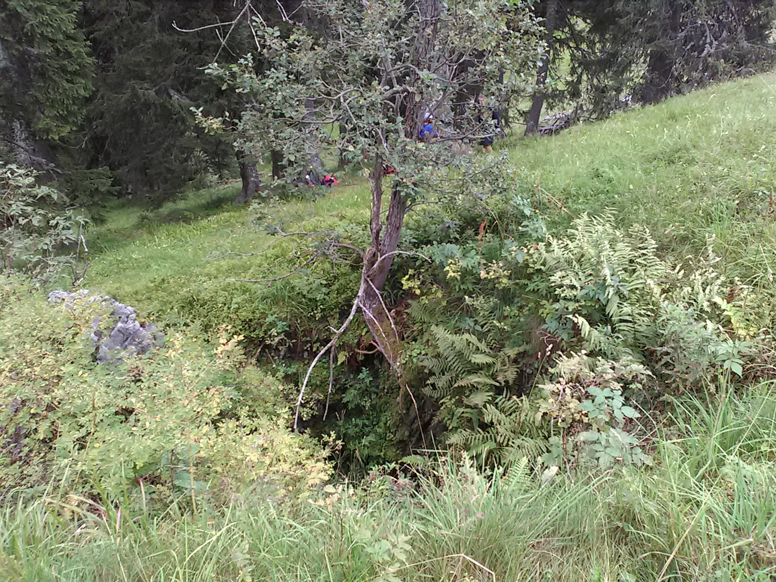 Stana Tomii intrarea, foto G. Dragomir