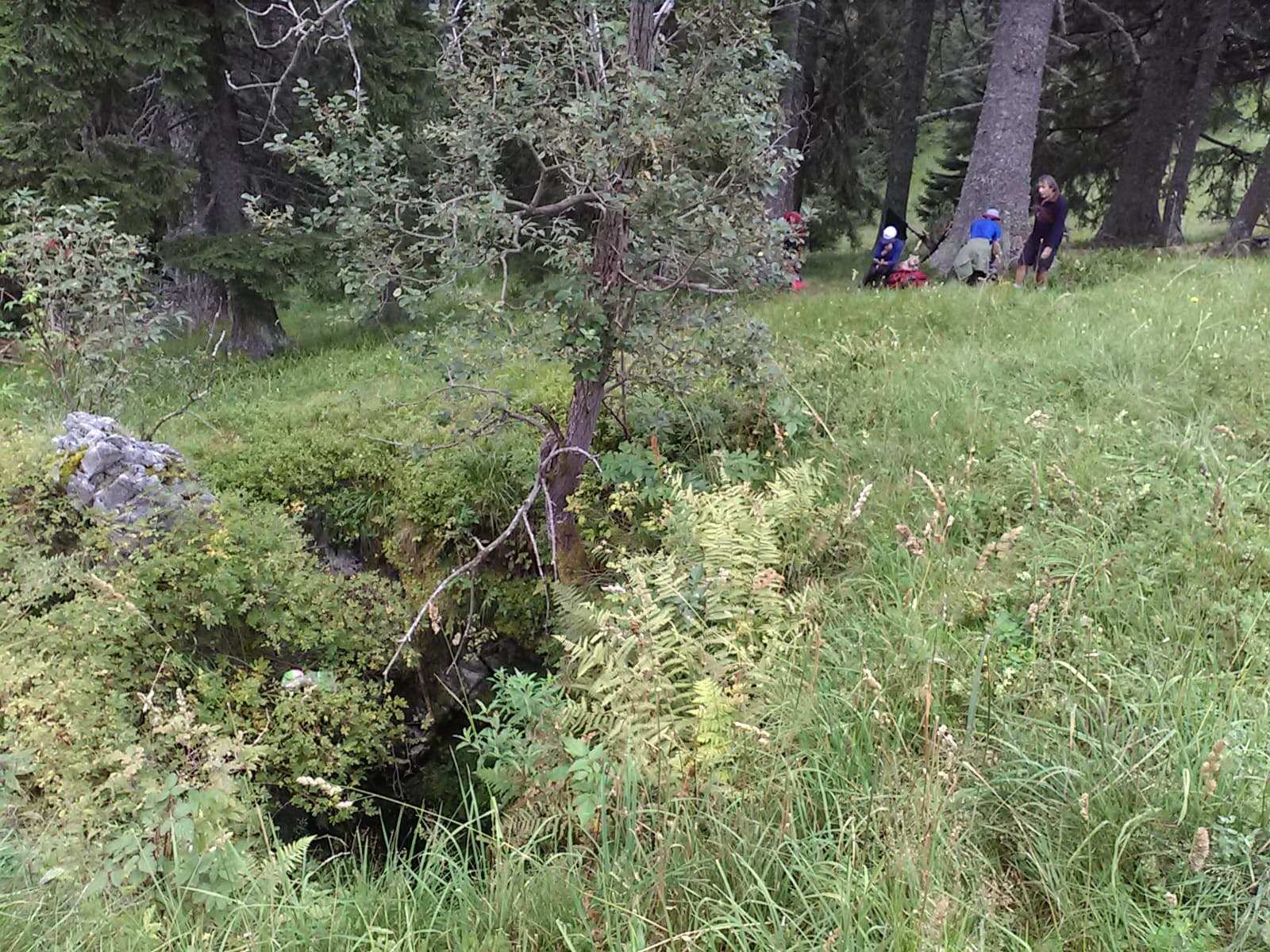 Stana Tomii intrarea, foto G. Dragomir