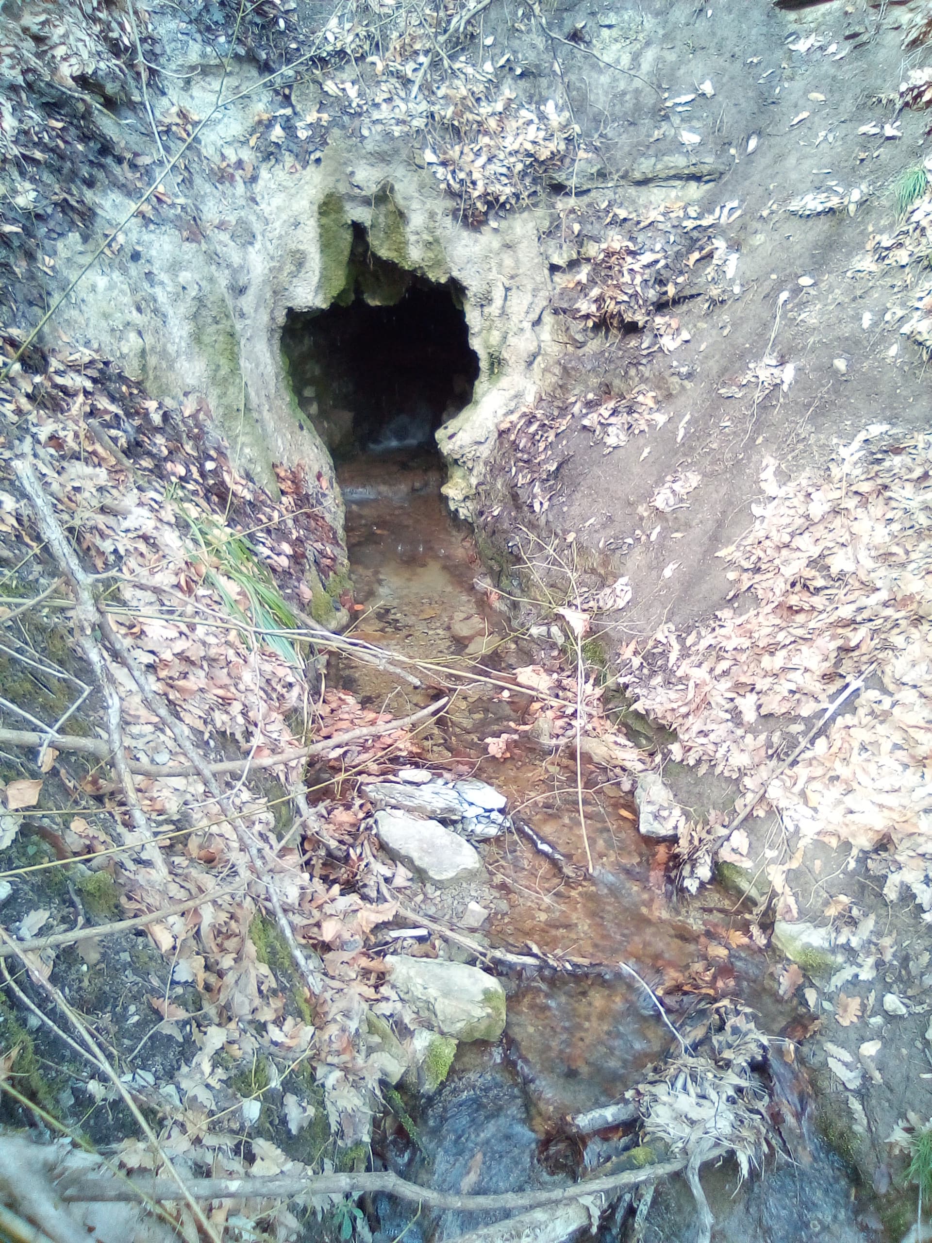 Peştera lui Onuţ - Image 1