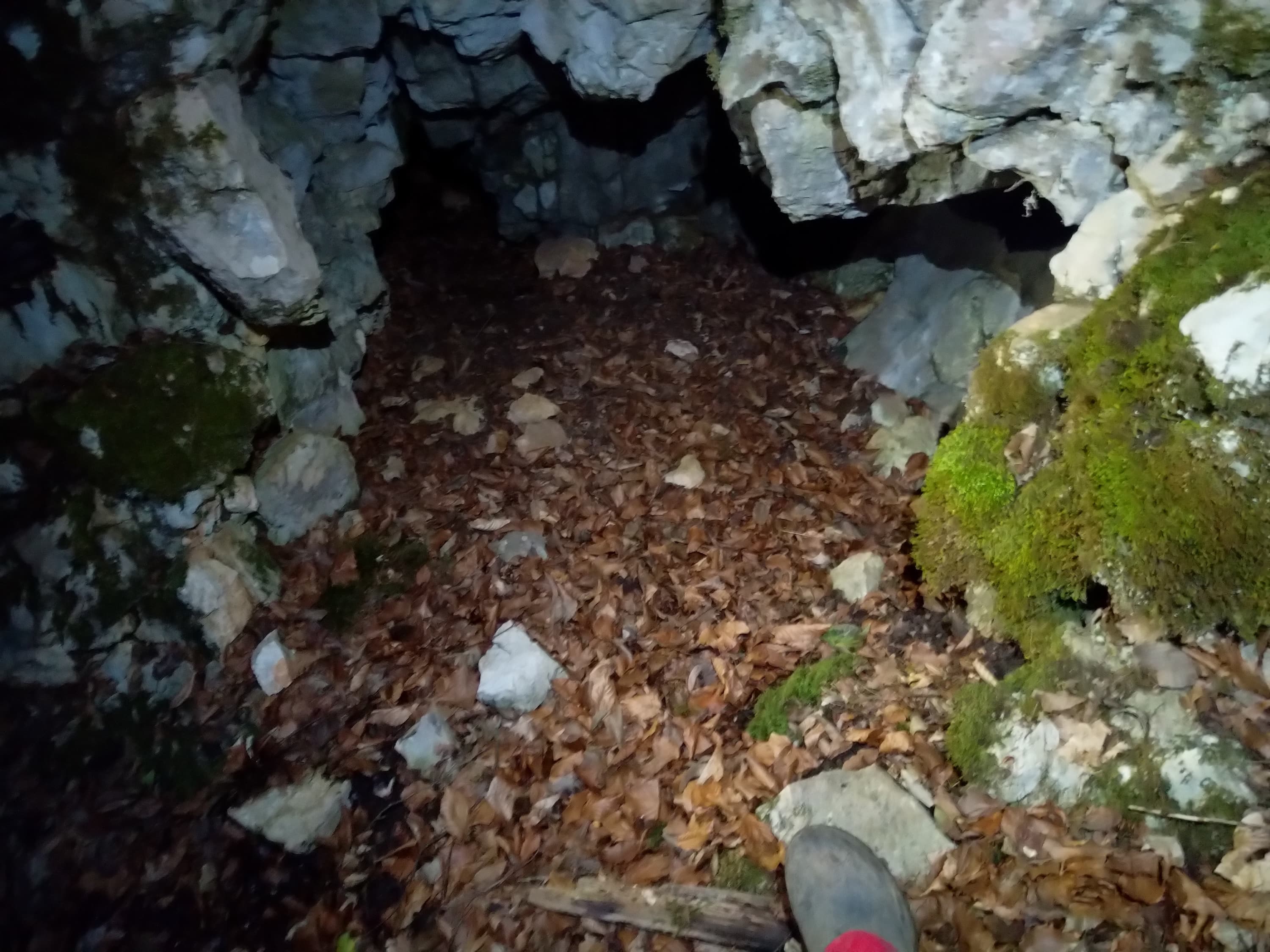 Peștera Nr.4 de la Mediureca - Image 1