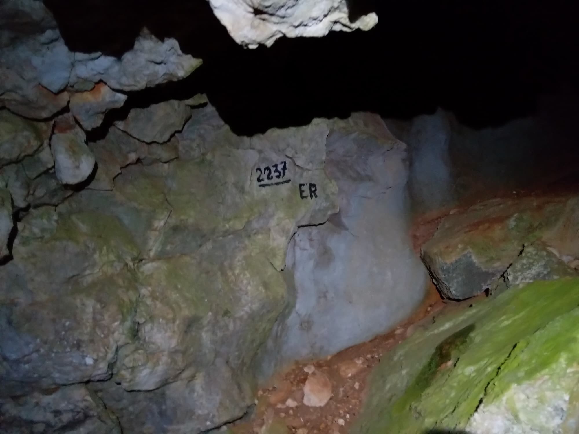 Peștera Nr.1 de la Mediureca - Image 3