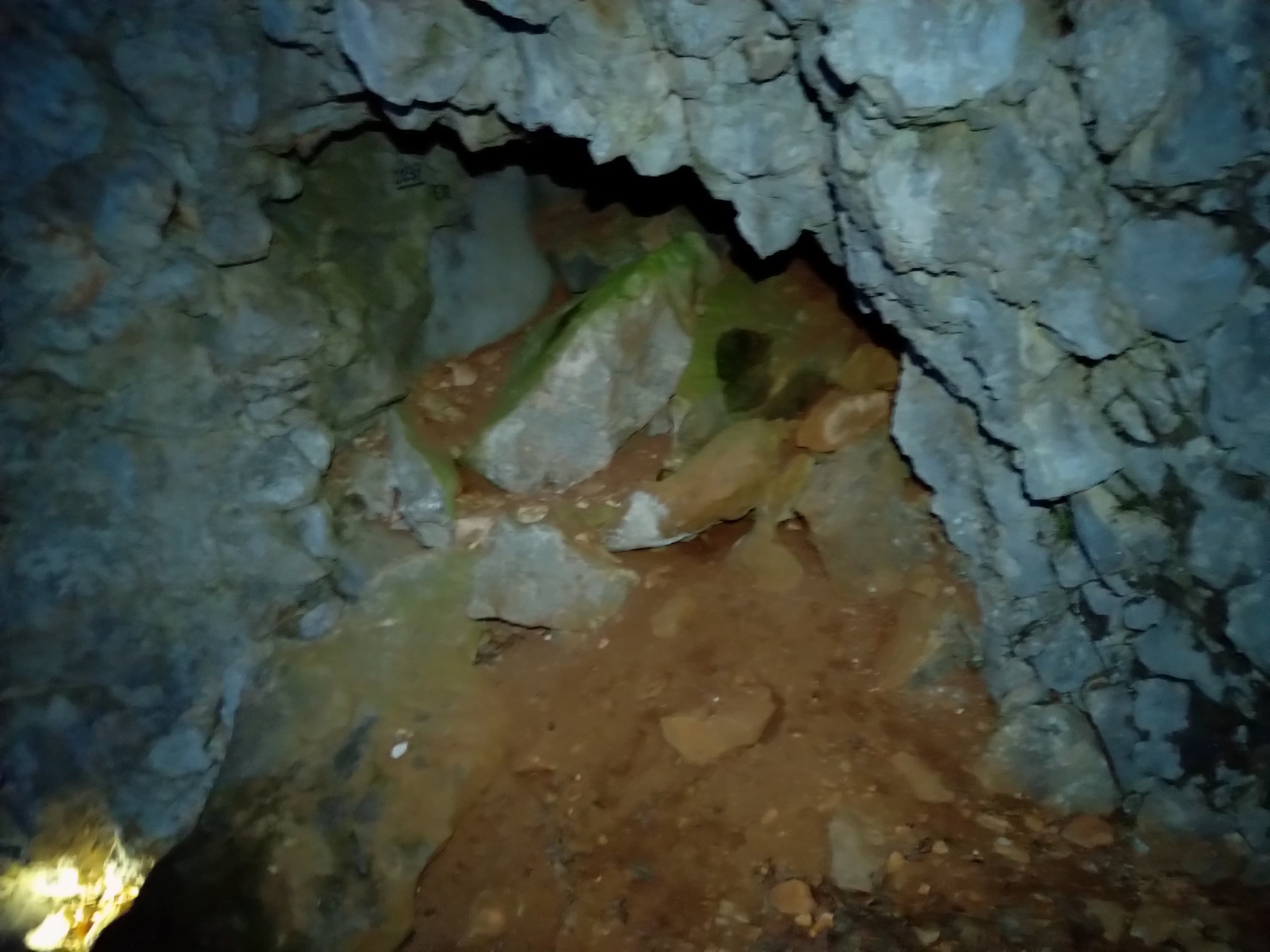 Peștera Nr.1 de la Mediureca - Image 1