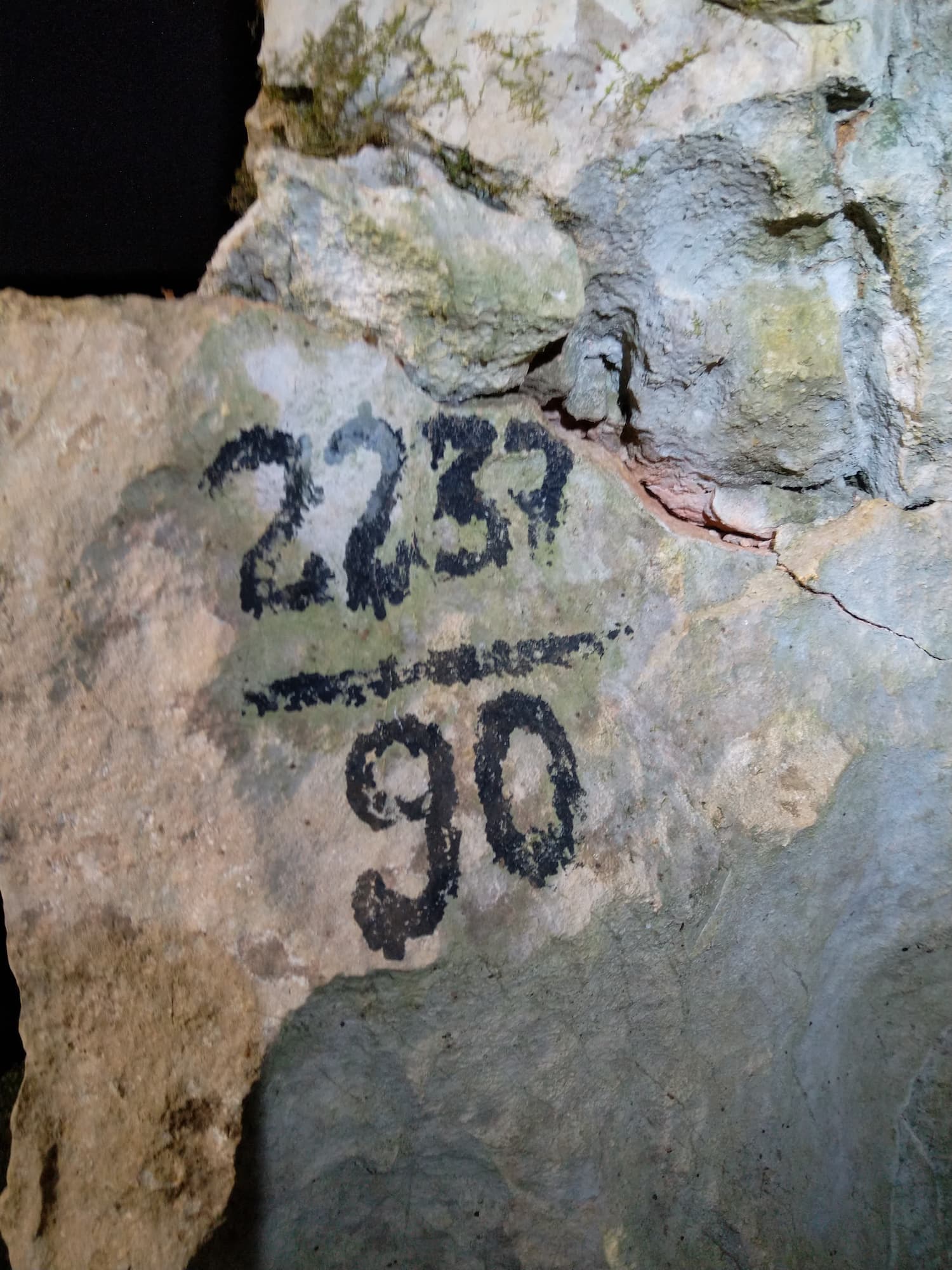 Peștera Nr.4 de la Mediureca - Image 2