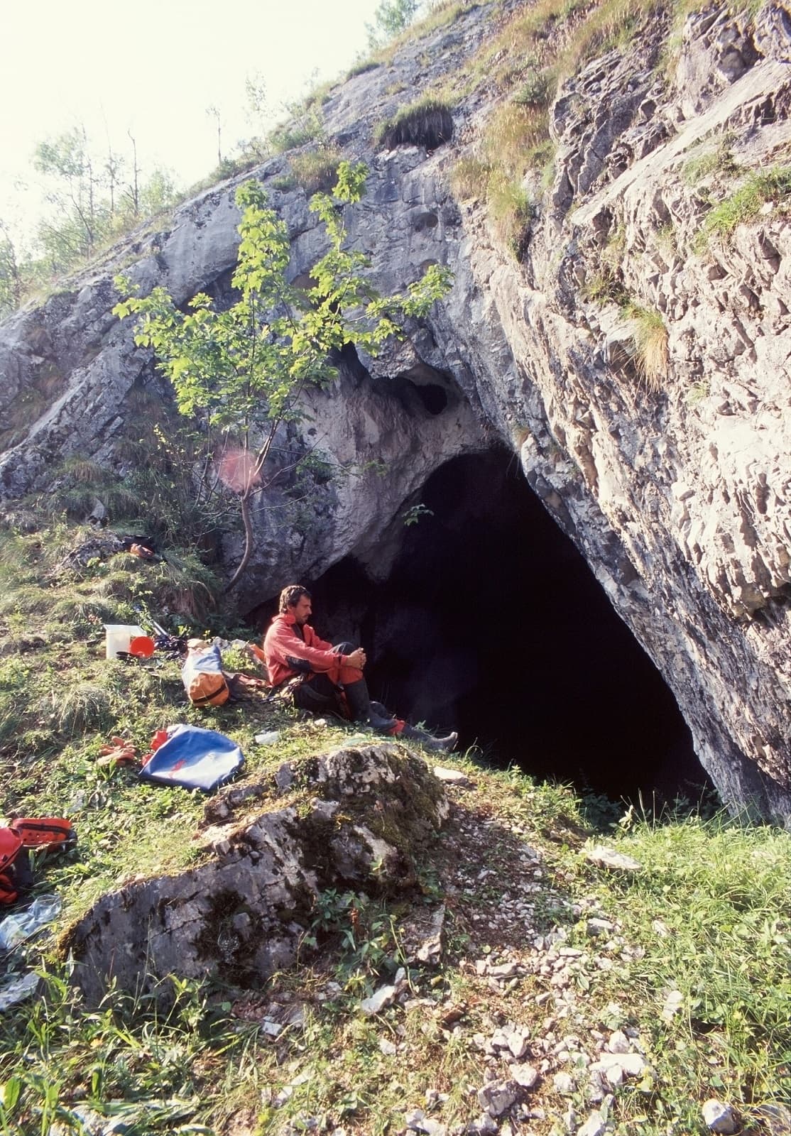 Pestera Zeicului - Wikipedia