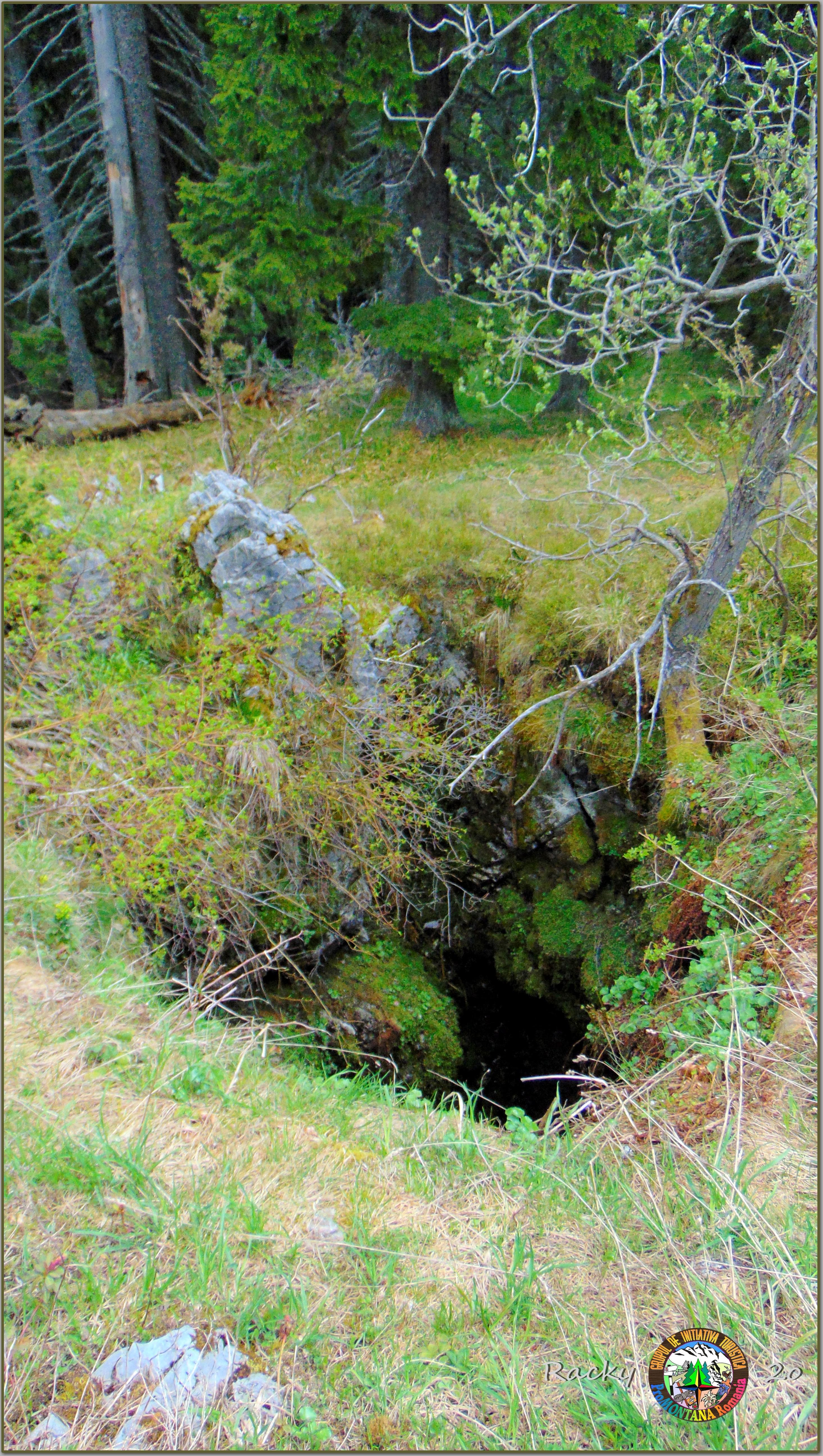 Avenul din Stâna Tomii - Image 5