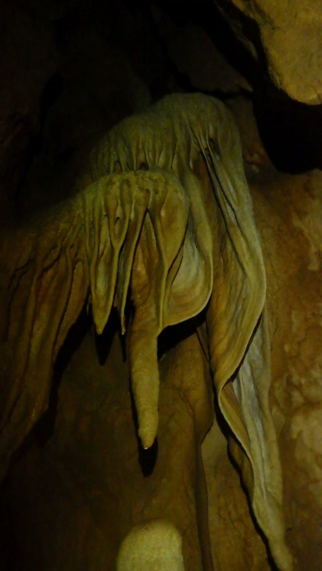 Peştera Turelem din Cheile Cuţilor - Image 3