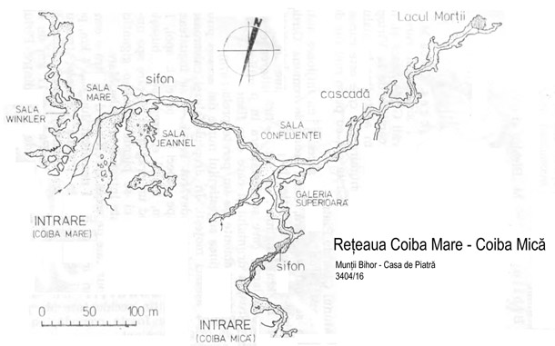 Reteaua Coiba Mare - Coiba Mica