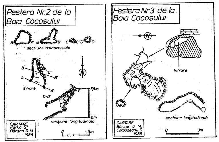 Pestera Nr.2 si Nr.3 de la Baia Cocosului. - 1988