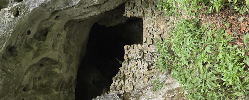 Poza intrare