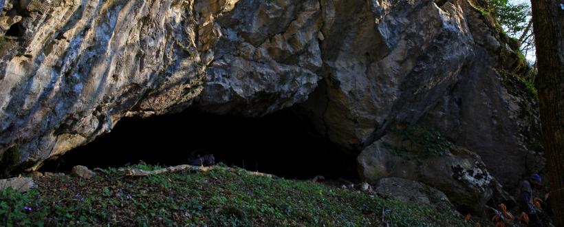 Portal Peștera Cuptorul Porcului - Foto: Stanescu Octavian